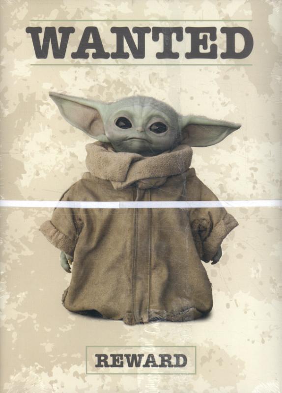 Omslag van Star Wars The Mandalorian - Schrift A4 Ruit - set van 5 (2 ex.) 22-23