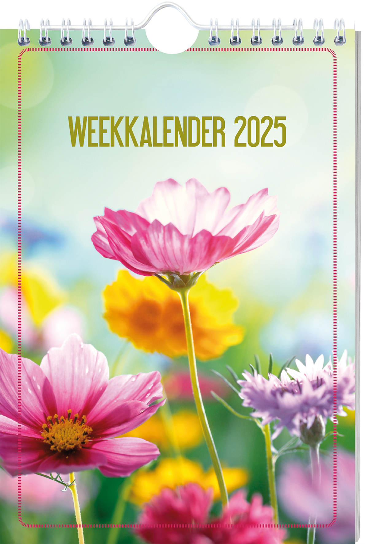 Omslag van 2025