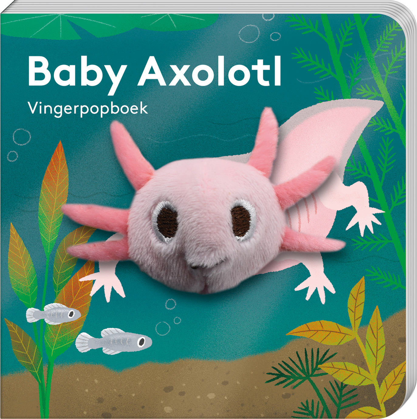 Omslag van Vingerpopboekje Baby Axolotl