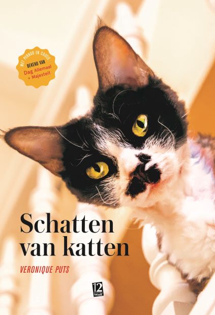 Omslag van Schatten van katten