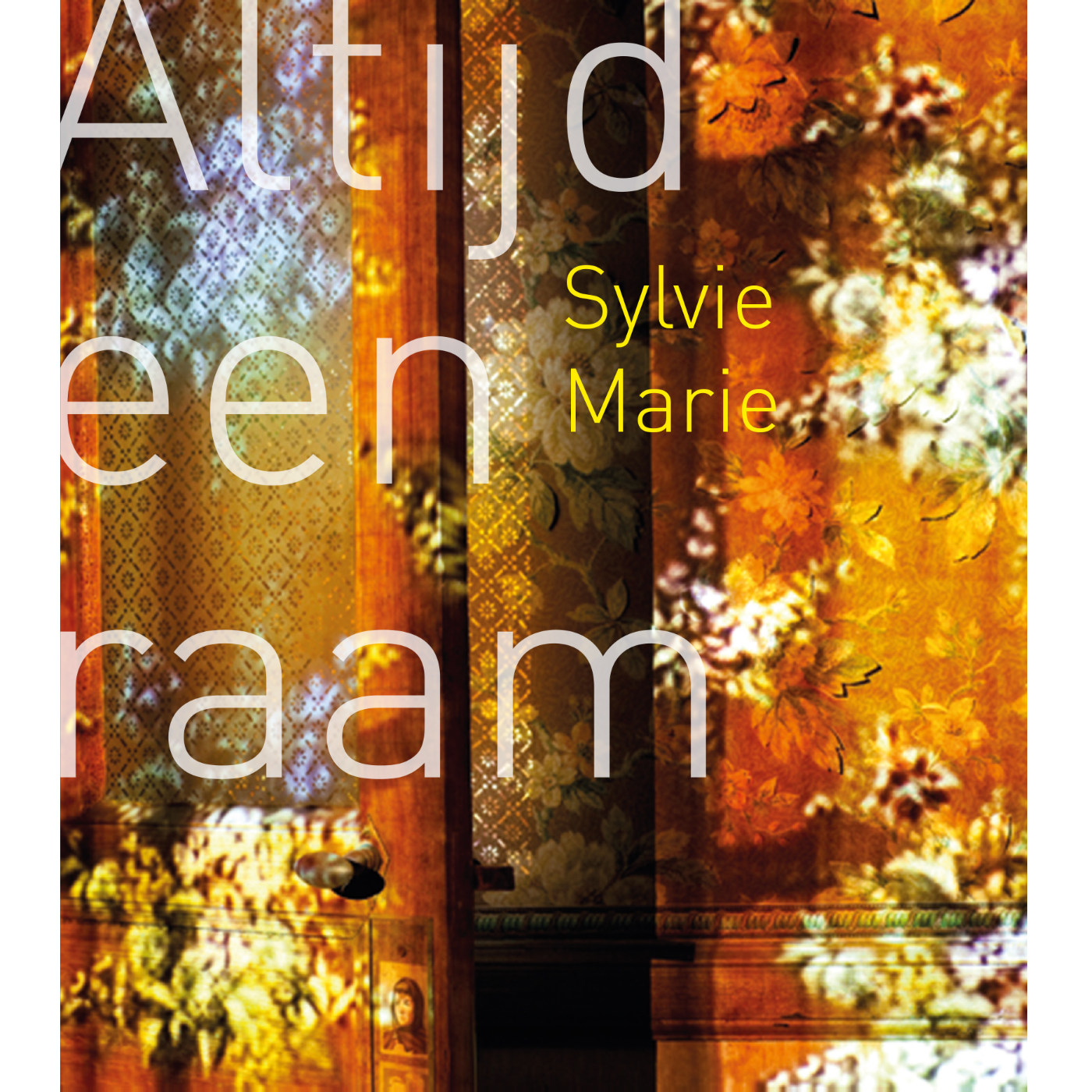 Omslag van Altijd een raam