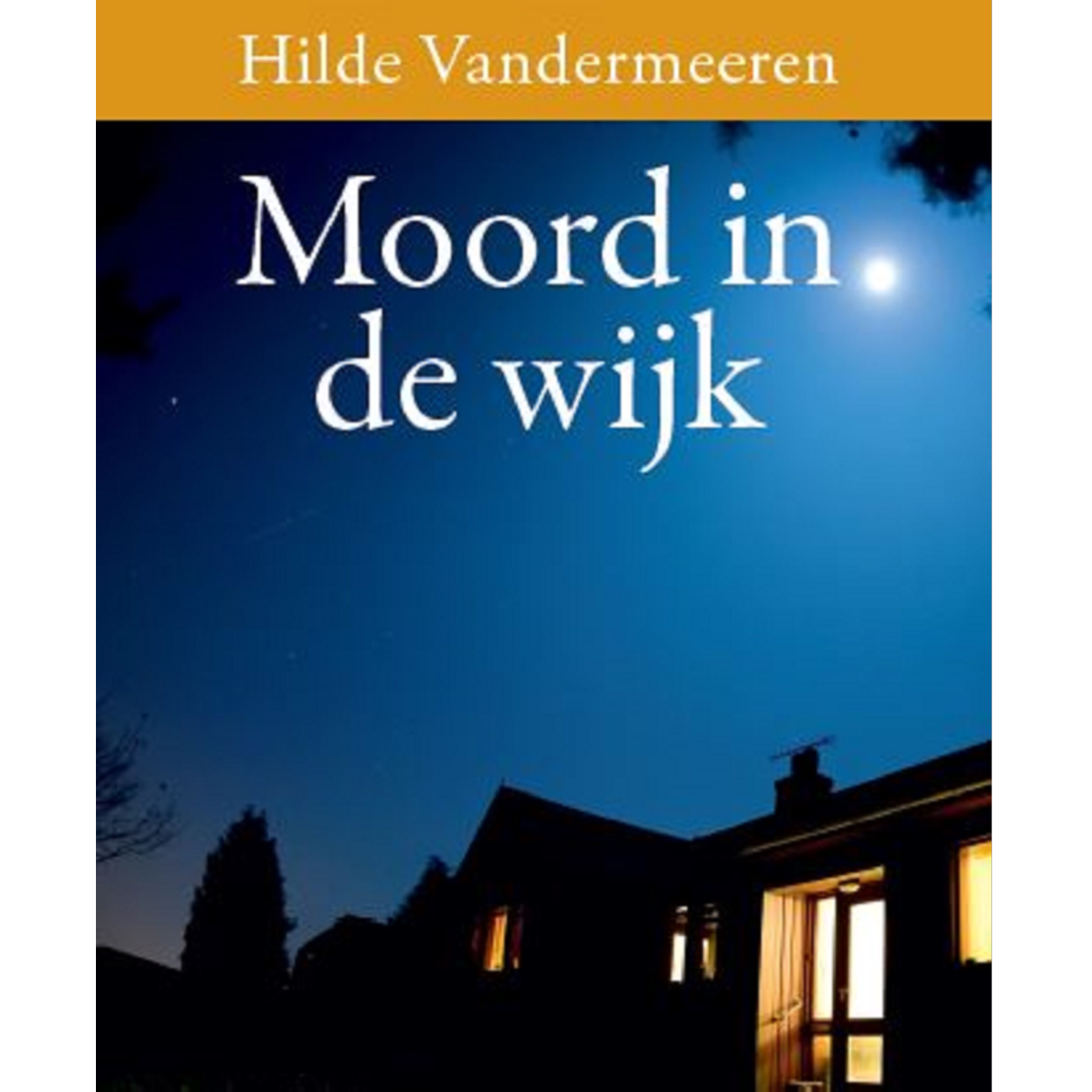 Omslag van Moord in de wijk