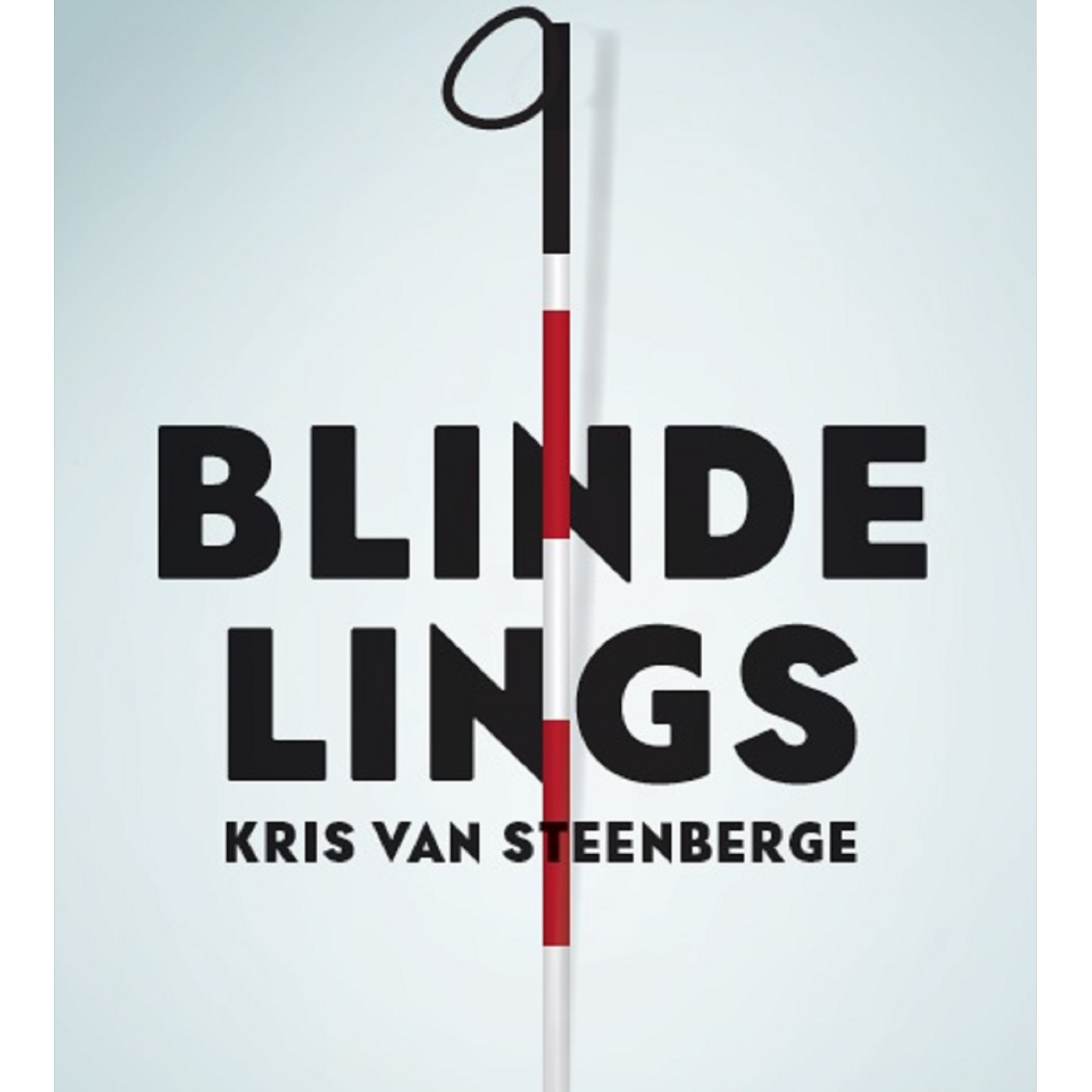 Omslag van Blindelings