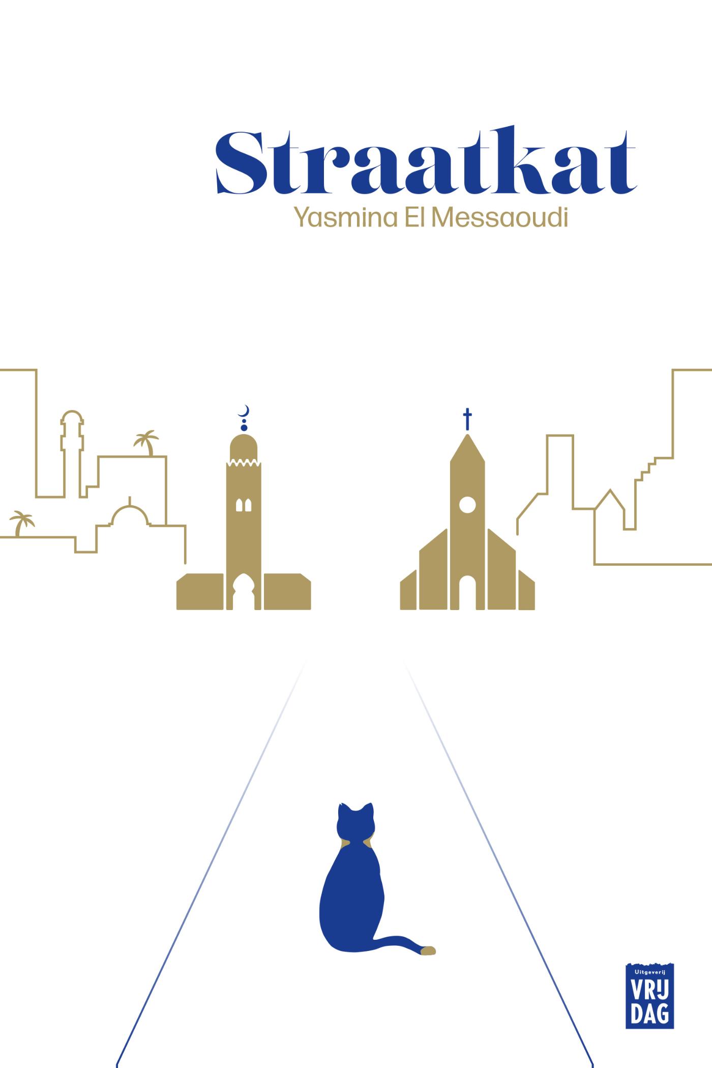 Omslag van Straatkat