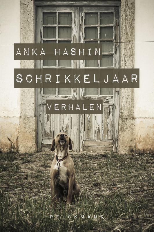 Omslag van Schrikkeljaar