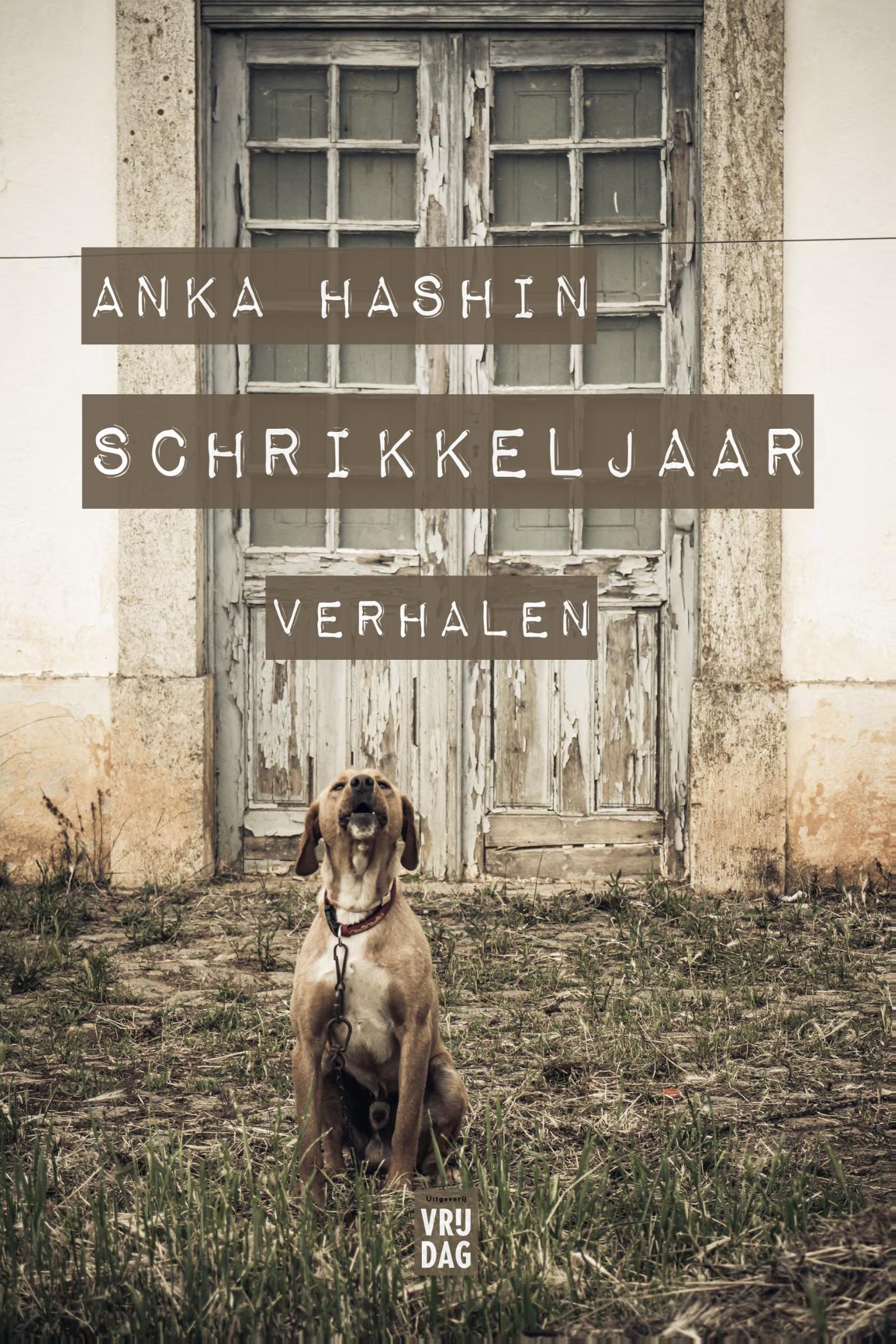 Omslag van Schrikkeljaar