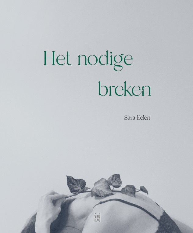 Omslag van Het nodige breken