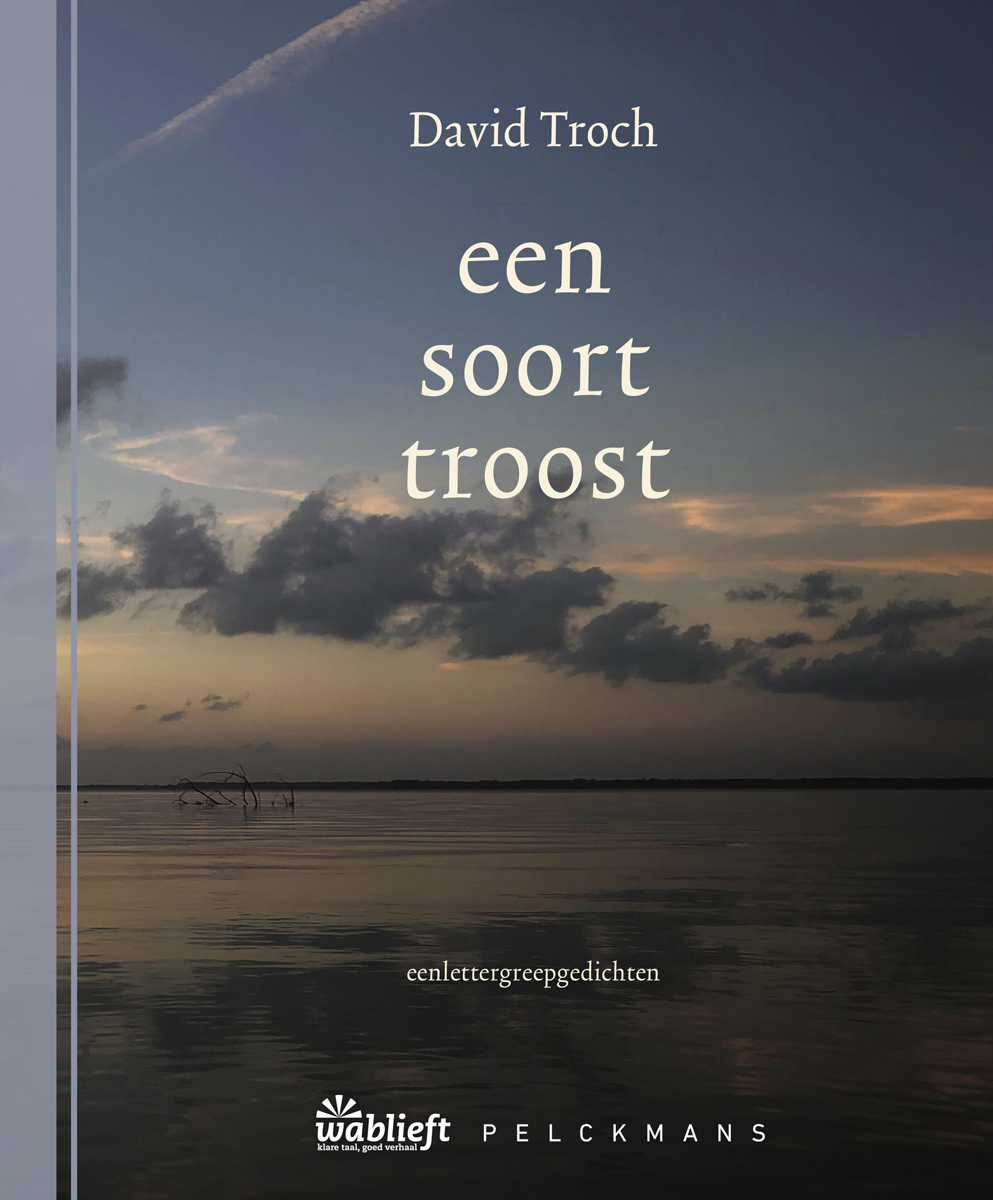 Omslag van een soort troost