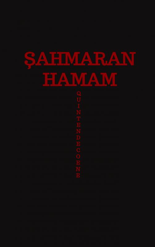 Omslag van Şahmaran Hamam