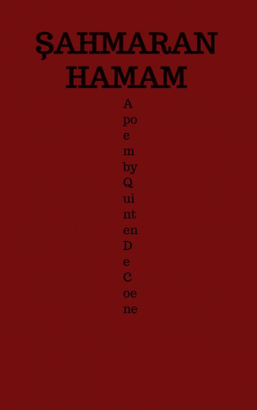 Omslag van Şahmaran Hamam