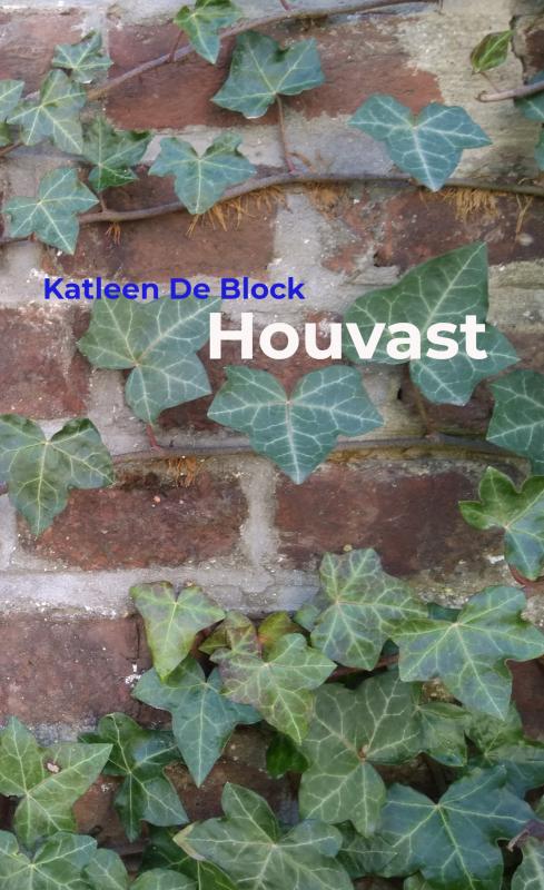 Omslag van Houvast