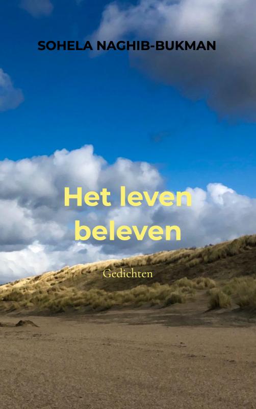Omslag van Het leven beleven