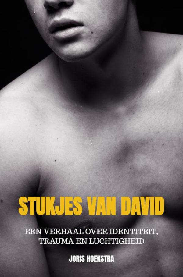 Omslag van Stukjes van David