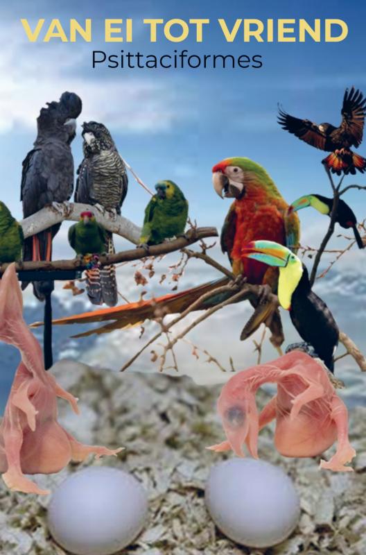 Omslag van Van ei tot vriend: Psittaciformes