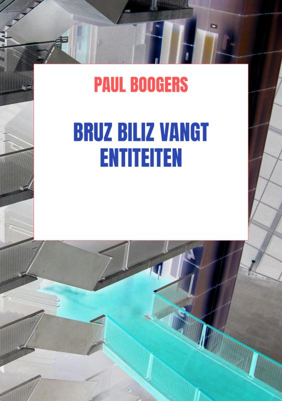 Omslag van Bruz Biliz vangt entiteiten