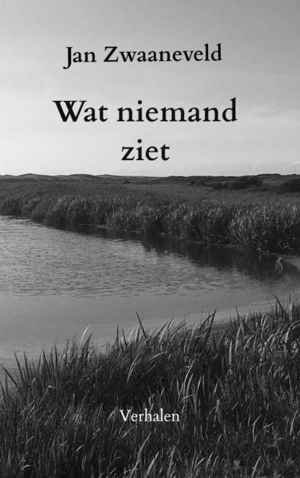 Omslag van Wat niemand ziet