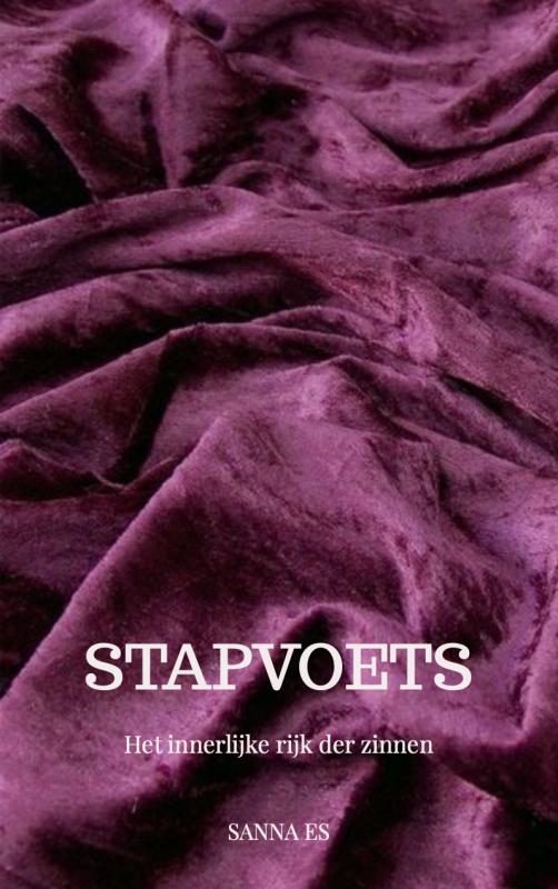 Omslag van Stapvoets