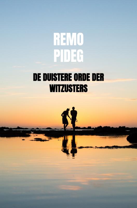 Omslag van De Duistere Orde der Witzusters