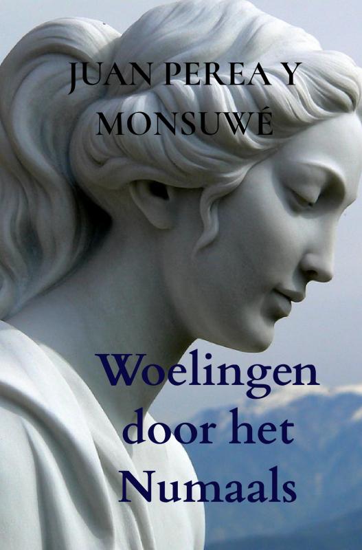 Omslag van Woelingen door het Numaals
