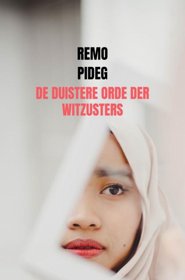 Omslag van De Duistere Orde der Witzusters
