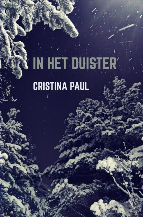 Omslag van In het duister