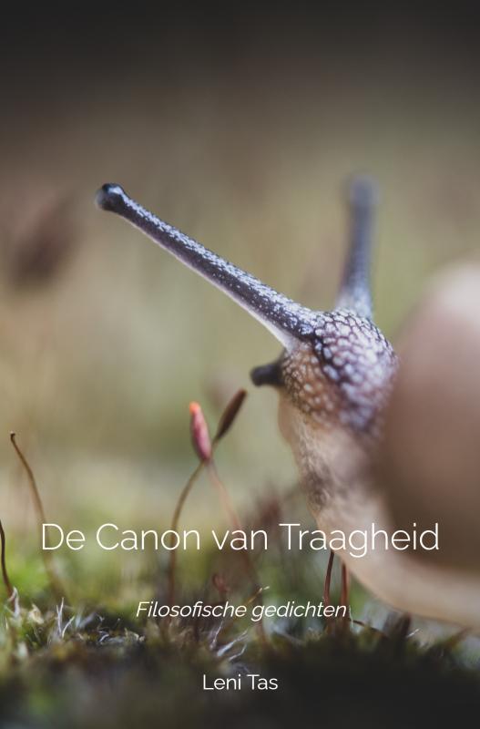 Omslag van De Canon van Traagheid