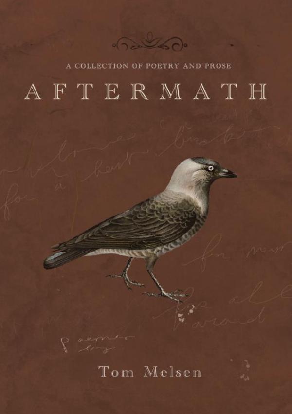 Omslag van Aftermath