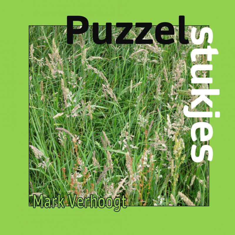 Omslag van Puzzelstukjes