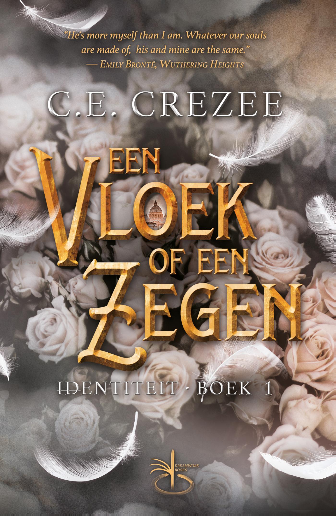 Omslag van Een vloek of een zegen