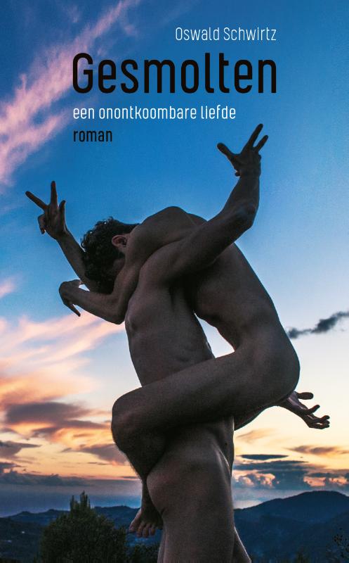 Omslag van Gesmolten