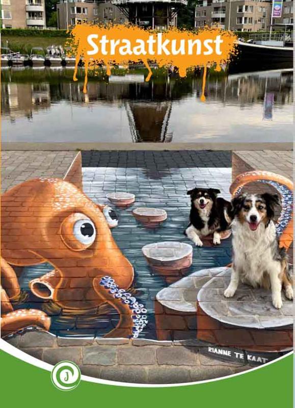 Omslag van Straatkunst