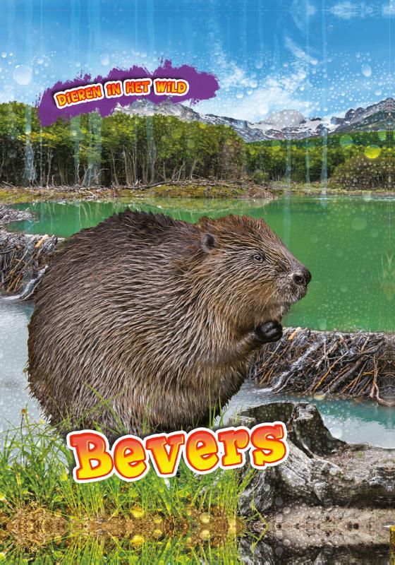 Omslag van Bevers