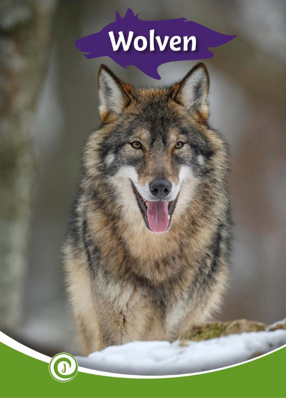 Omslag van Wolven
