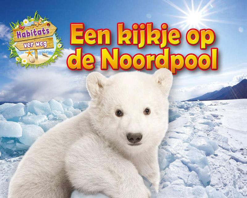 Omslag van Een kijkje op de Noordpool