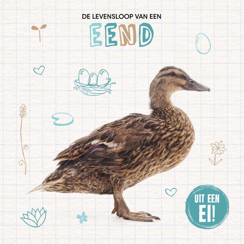 Omslag van De levensloop van een eend
