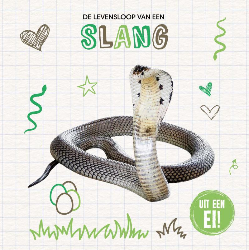 Omslag van De levensloop van een slang