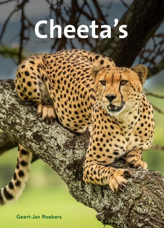 Omslag van Cheeta's