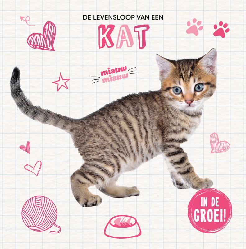Omslag van Kat