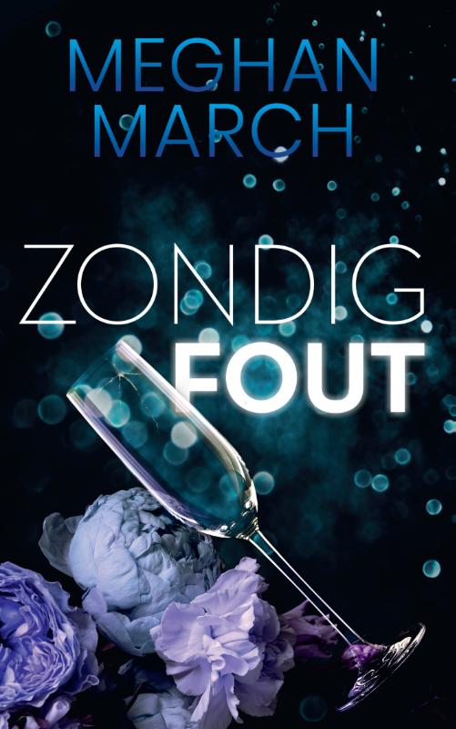 Omslag van Zondig fout