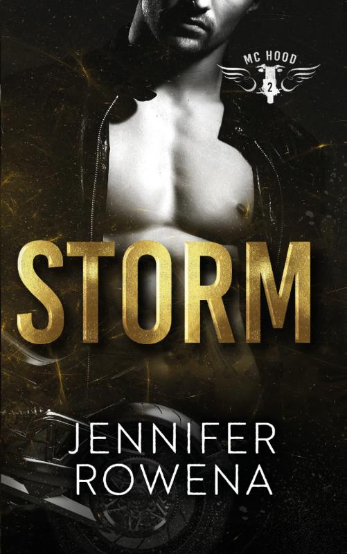 Omslag van Storm