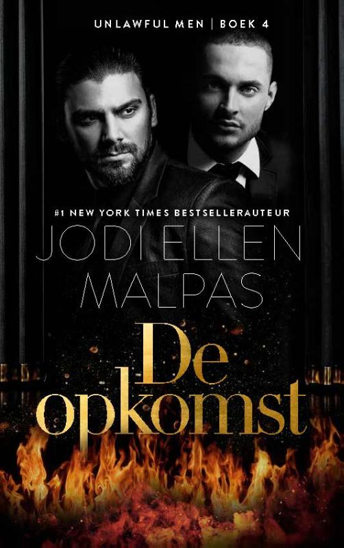 Omslag van De opkomst