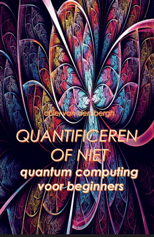 Omslag van Quantificeren of niet