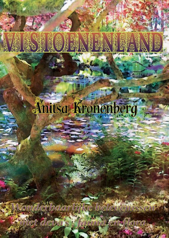 Omslag van Visioenenland