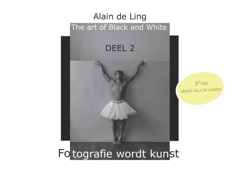 Omslag van 2
