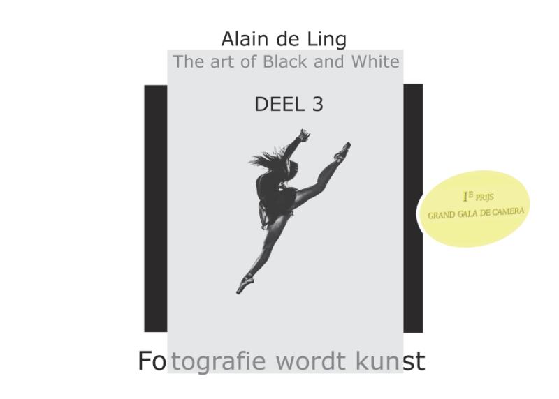 Omslag van 3
