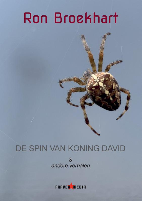 Omslag van De spin van koning David