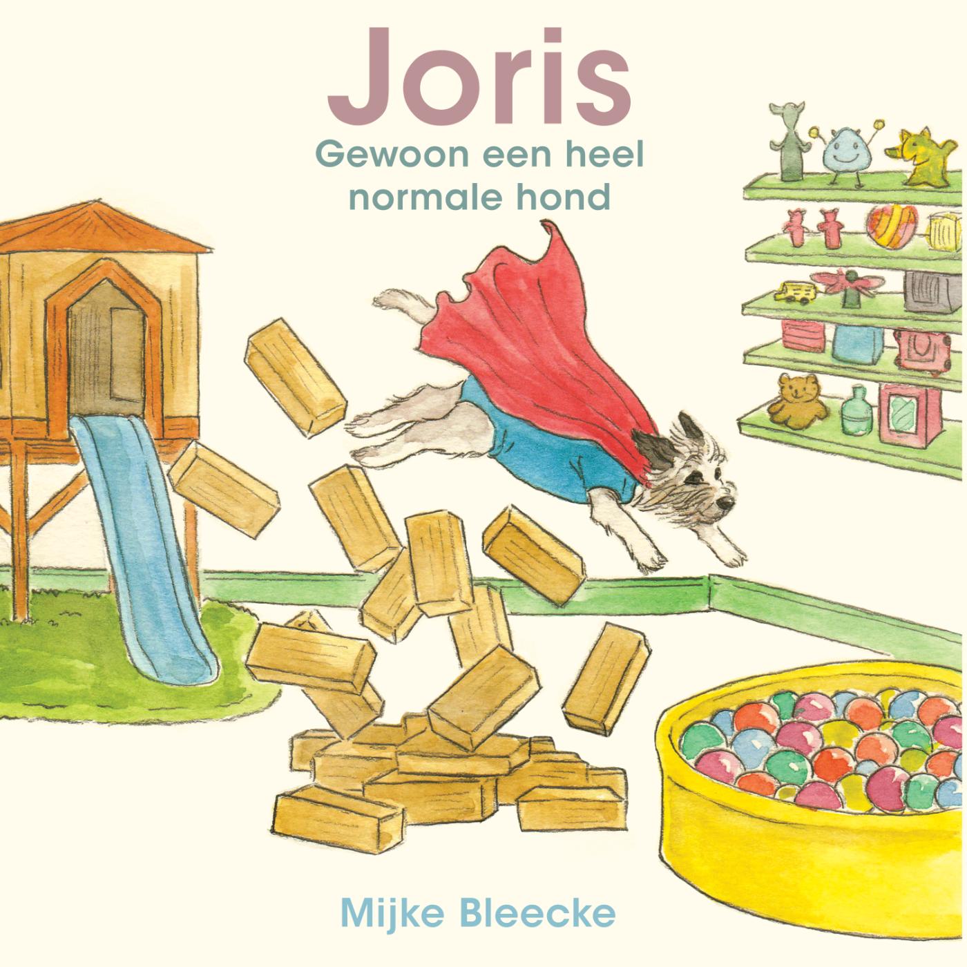 Omslag van Joris