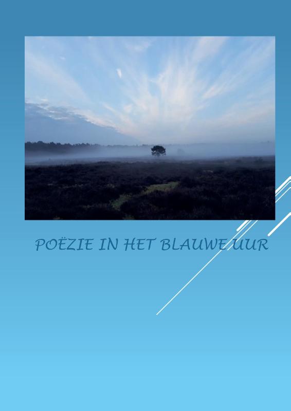 Omslag van Poëzie in het blauwe uur