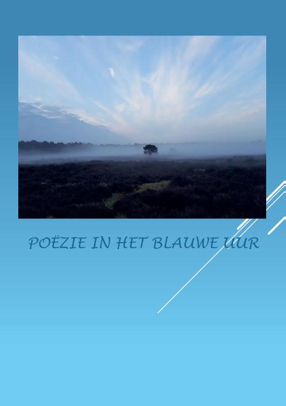 Omslag van Poëzie in het blauwe uur