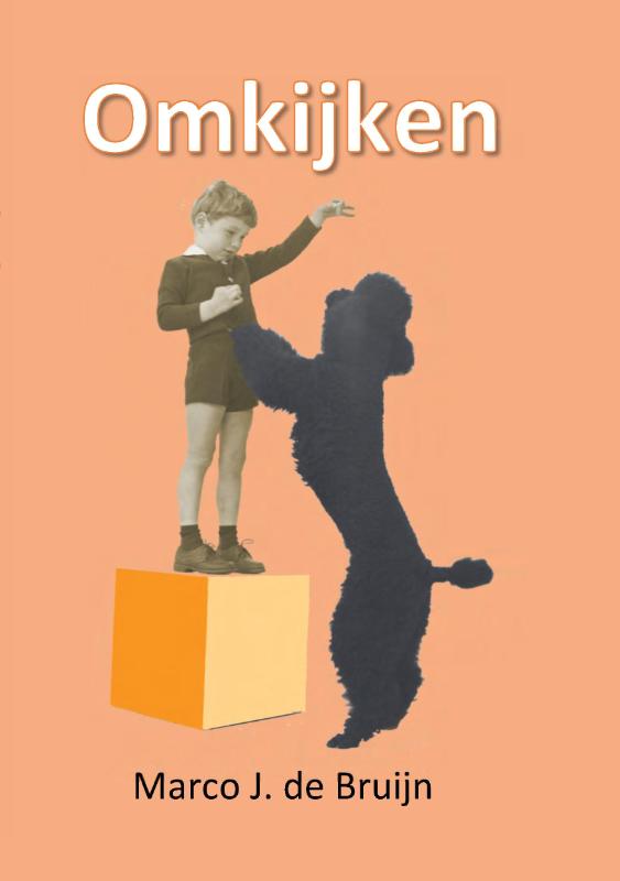 Omslag van Omkijken